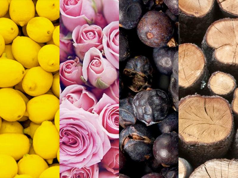 The Power of Scents: How Certain Smells Influence Mood
